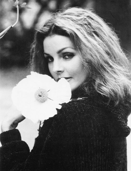 sau hon 4 thap ky vo cu cua ong vua rockroll elvis presley tiet lo ly do ba quyet dinh ly hon