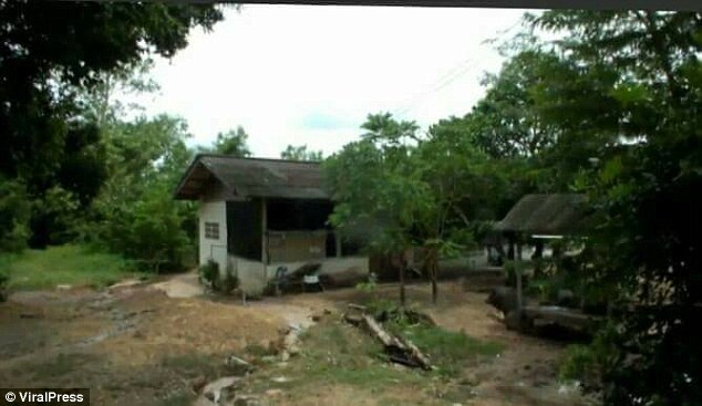 di toilet ngoai vuon ni co cao 12m bi con tran khong lo dai 8m cuon chat va can vao chan
