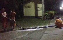 di toilet ngoai vuon ni co cao 12m bi con tran khong lo dai 8m cuon chat va can vao chan