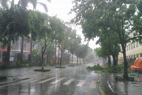 bac bo mua lon quang ninh lang son co gio manh cap 6 8