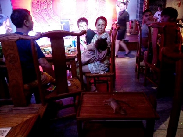 chuot nhay lau tu tu xuong khay do an nhieu thuc khach bo chay tan loan