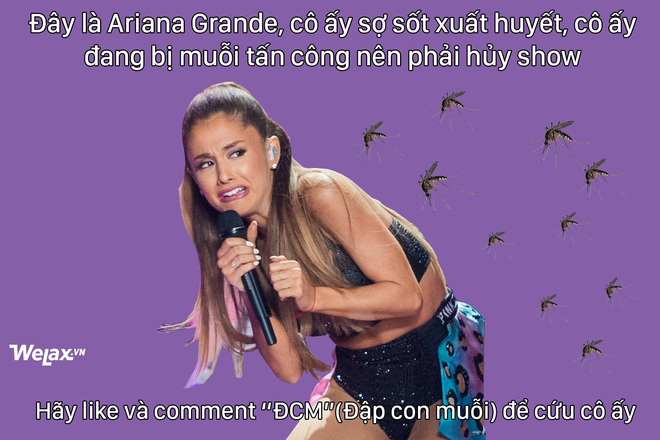 anh che hot nhat mang xa hoi hom nay ariana grande huy show vi dich sot xuat huyet