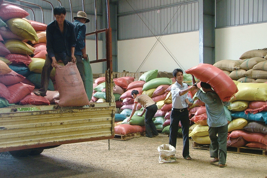 xuat khau ca phe nam nay co the dat 135 trieu tan