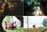 ha noi la ma quen qua hon 100 tam anh phim