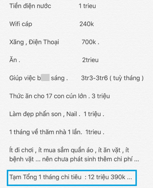 bang chi tieu cua co gai doc than moi thang het 12 trieu rieng tien thue osin gan 4 trieu gay tranh cai