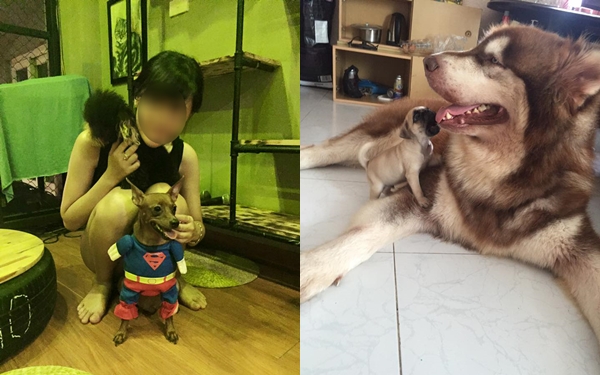 bang chi tieu cua co gai doc than moi thang het 12 trieu rieng tien thue osin gan 4 trieu gay tranh cai