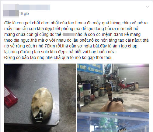 thanh nien gay xon xao khi dua ran ho mang chua di khap ha long va chup bo anh nam tay em di khap the gian