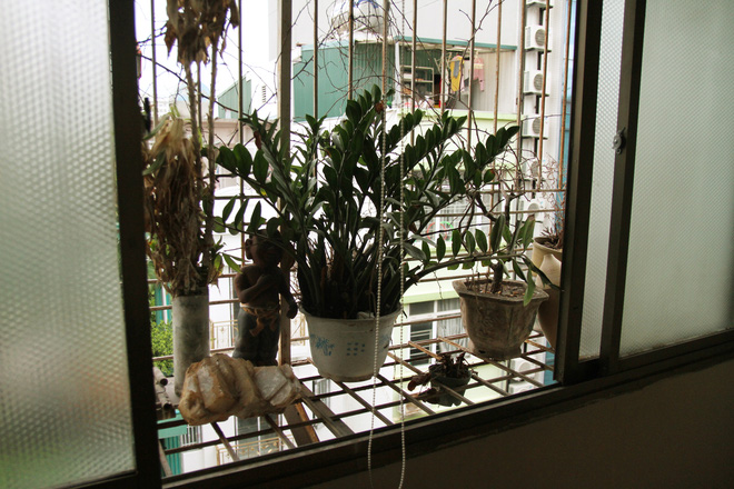 bao dong do dai dich sot xuat huyet sinh vien lao dao vi phai nghi hoc hoan thi