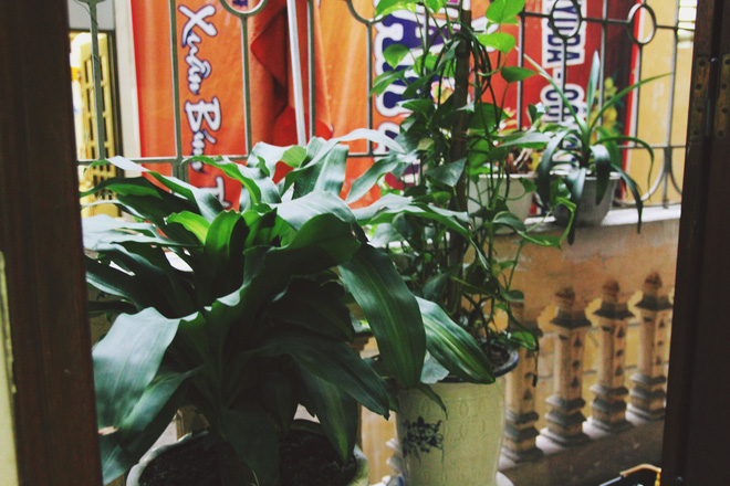 bao dong do dai dich sot xuat huyet sinh vien lao dao vi phai nghi hoc hoan thi