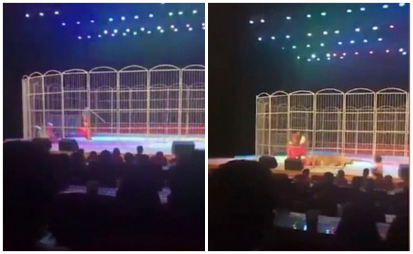 huan luyen vien bi ho lao vao tan cong ngay truoc su chung kien cua khan gia