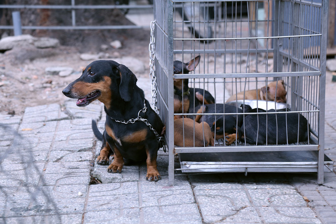 hang chuc gian hang gan san bay tan son nhat o at thanh ly cho ga cay canh giao thong sai gon hon loan