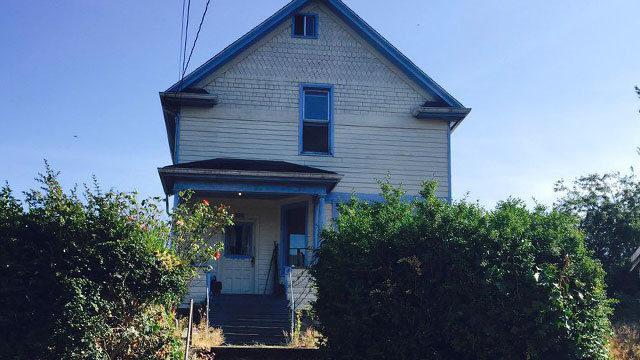 rung minh bo suu tap benh hoan ve tre em cua ba ong lao u80 song cung mot nha