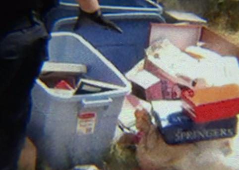 rung minh bo suu tap benh hoan ve tre em cua ba ong lao u80 song cung mot nha