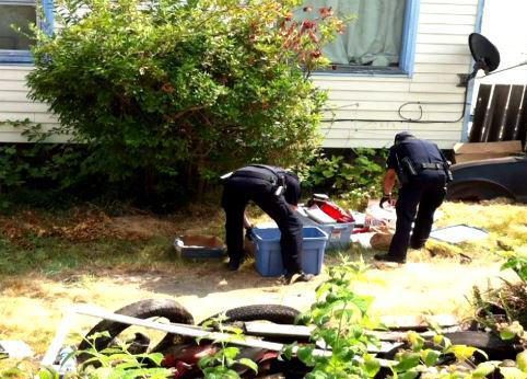 rung minh bo suu tap benh hoan ve tre em cua ba ong lao u80 song cung mot nha