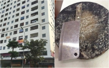 nguoi phu nu nem dao thot xuong dat o chung cu linh dam bi tram cam sau sinh