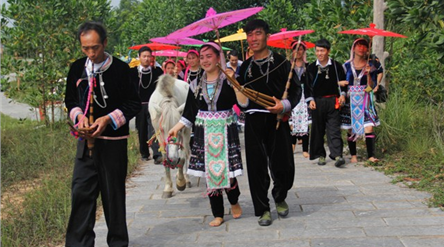 vui tet doc lap tai ngoi nha chung voi nhieu hoat dong dac sac