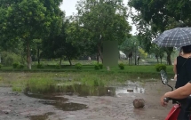 ha noi phat hien nguoi dan ong treo co tren cay ven den lu trong luc mua tam ta