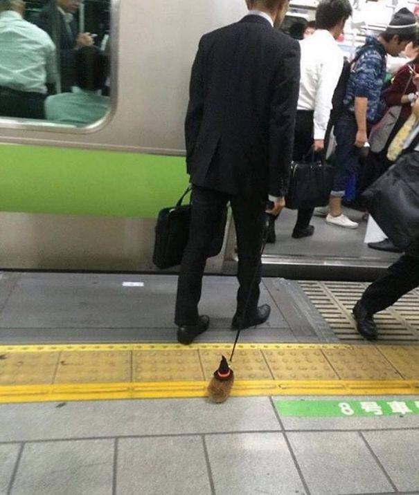 nhung hinh anh hai huoc chi co tren tau dien ngam tu chi gai thai rau toi pikachu tho tay om cot