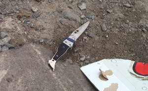 cuop bat thanh nguoi nuoc ngoai trom o to dam vao canh sat de giai cuu dong bon