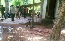 nam sinh nghich sung ban tu vong ban chan trau
