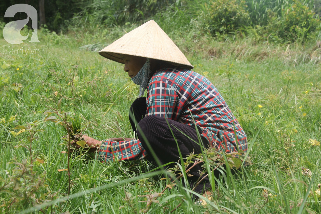 vo chong gia cat co thue nuoi 4 nguoi con tam than nho moi nguoi giup do con toi khong con nhin doi nua