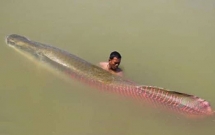 duoc tra 22 trieu dong khong ban ngu dan tay ninh mang ca khung nang 30kg xe thit ban re beo