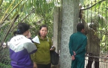 bat giu nghi can vu tham an 3 nguoi trong mot gia dinh tu vong giua dem o tien giang