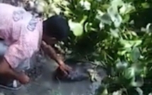 ca gan vuot dau ca sau nam thanh nien dai dot lanh ngay hau qua