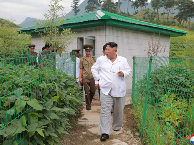 trieu tien lan dau cong bo hinh anh gay sot nha lanh dao kim jong un dam mua di thi sat