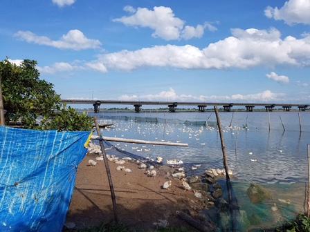 hue hang tram con vit chet bat thuong gia dinh nghi bi dau doc