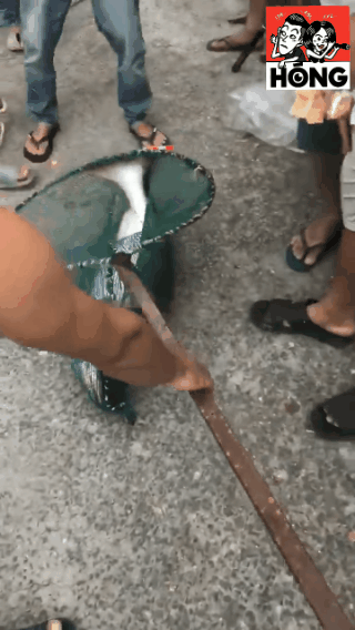 can thu 10 tuoi keo thanh cong con ca bu gan bang nguoi