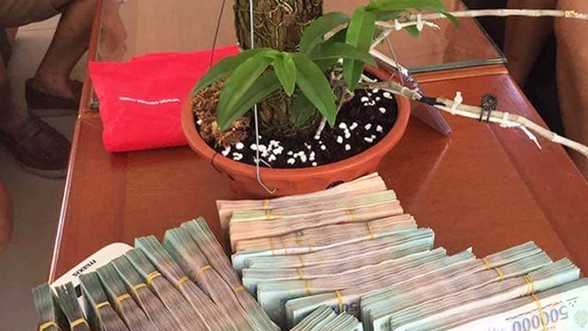 nguoi dan ong hai phong vao hue deo bam nam cho 1 tuan de mua gio lan 700 trieu dong