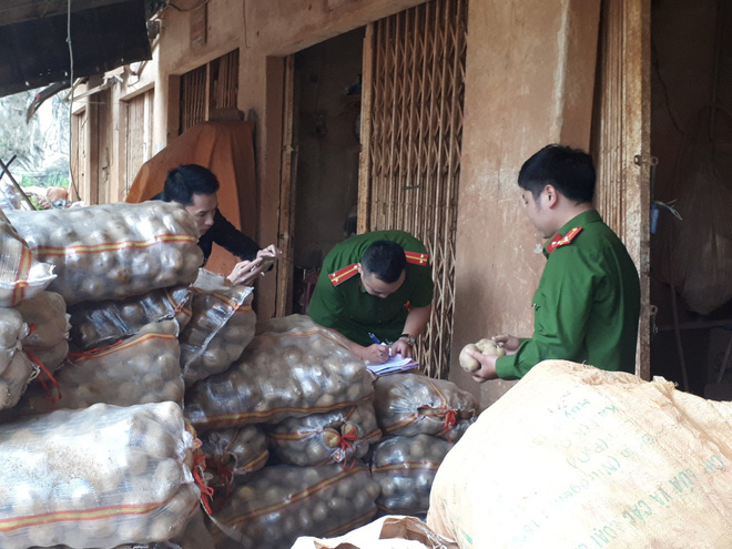 bat qua tang co so phu phep 1000kg khoai tay trung quoc nhai da lat