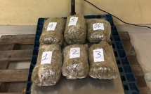 triet pha duong day van chuyen gan 6 kg can sa tu my ve viet nam