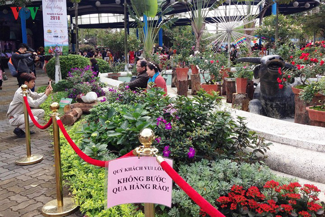 tren con duong moi do be tong hanh vi cua nguoi phu nu khien dan mang buc xuc