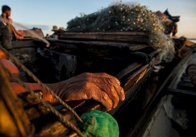 hue chum anh day sac mau o dam pha quang loi