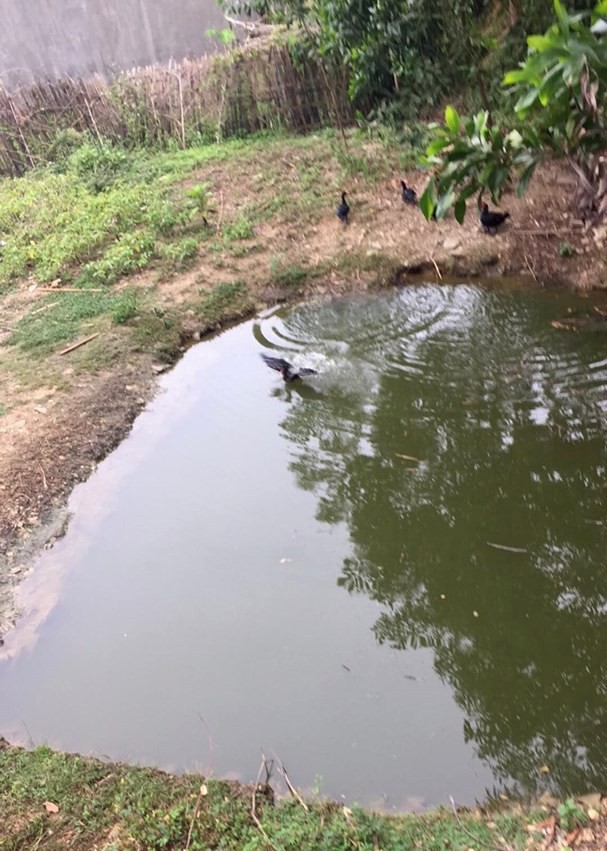 nghe an truot chan nga xuong ao 2 be gai duoi nuoc thuong tam