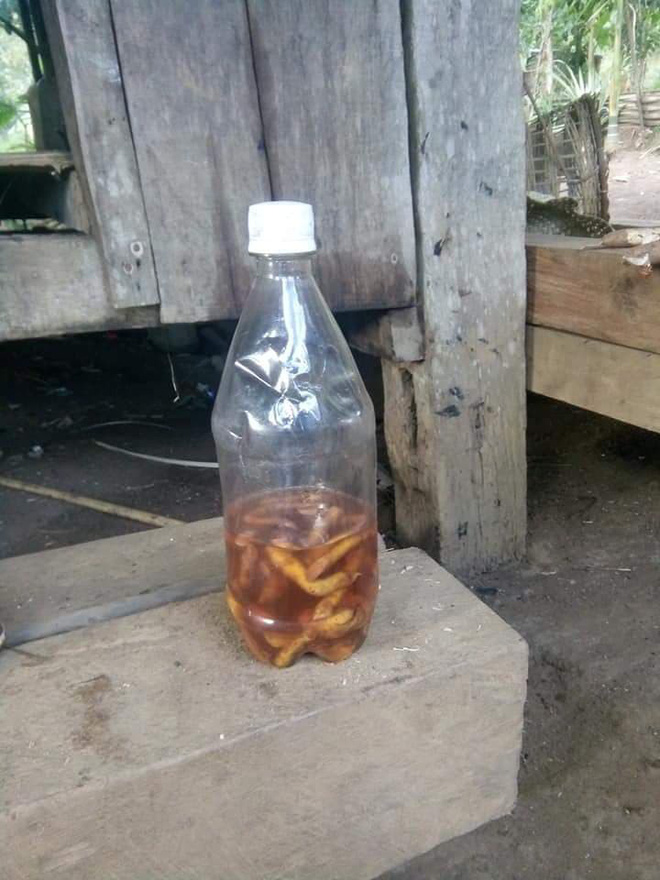 uong ruou ngam re cay la 2 cau chau tu vong