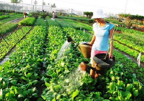 ban bua com sach cho du khach