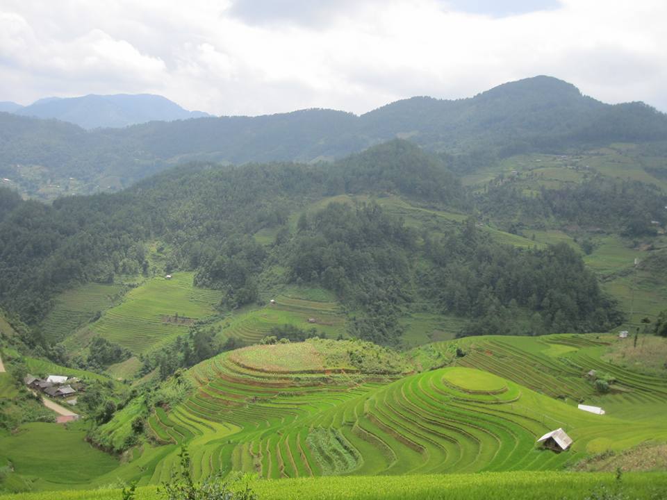 lac vao nhung cung dan xanh mua lua vung cao phia bac