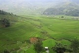 lac vao nhung cung dan xanh mua lua vung cao phia bac