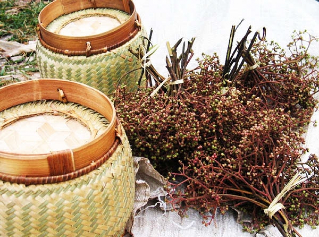 thuong thuc am thuc doc dao vung cao giua mua vang