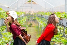 connect tour du lich ket noi yeu thuong