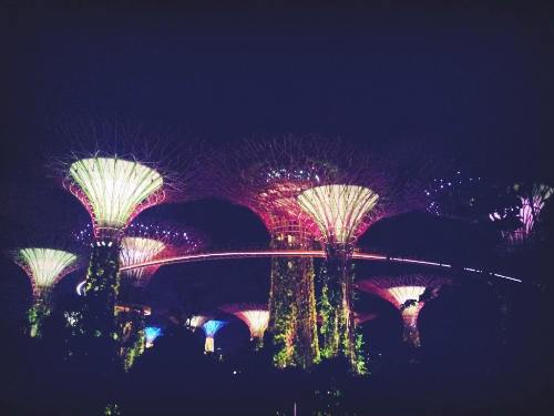 du lich bui singapore voi 5 trieu dong