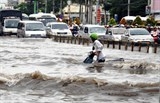 thanh tra hang loat du an bot giao thong moi truong