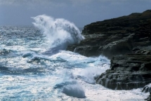 bien dong nhung ngay toi do bao dujian