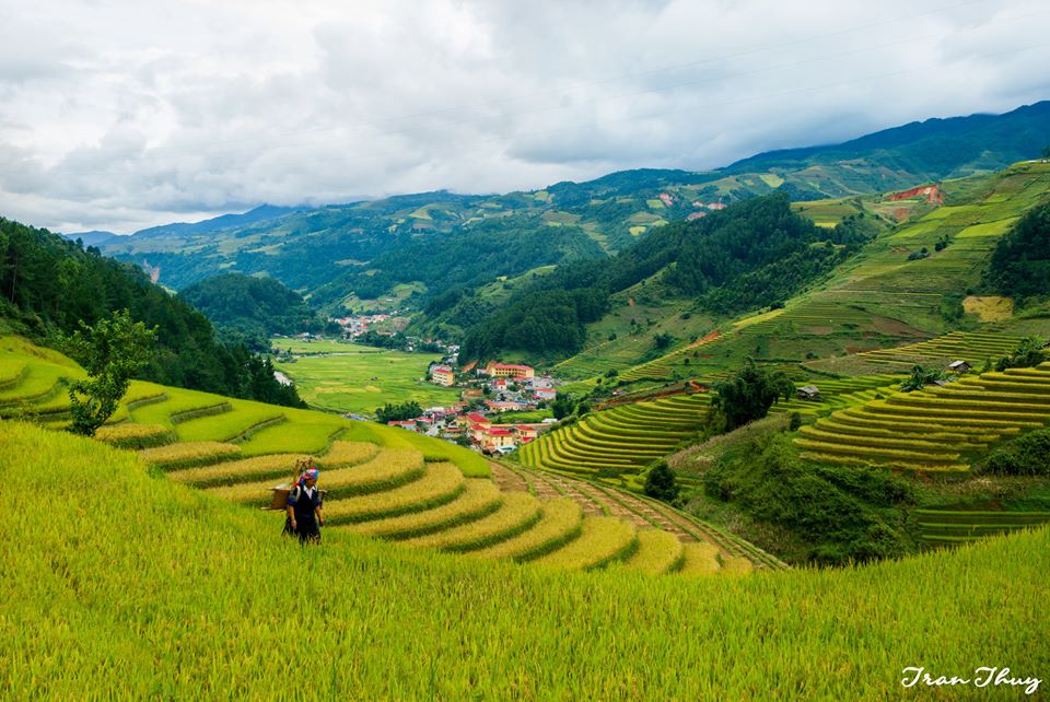 ngay hoi van hoa the thao va du lich cac dan toc vung tay bac nam 2016