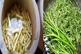 phat hien hon 10 tan mang va rau muong ngam hoa chat o tp hcm