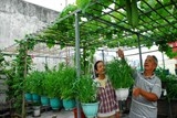 tu trong rau an de giam ung thu