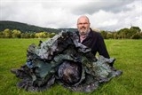 cay cai bap lon nhat the gioi o anh